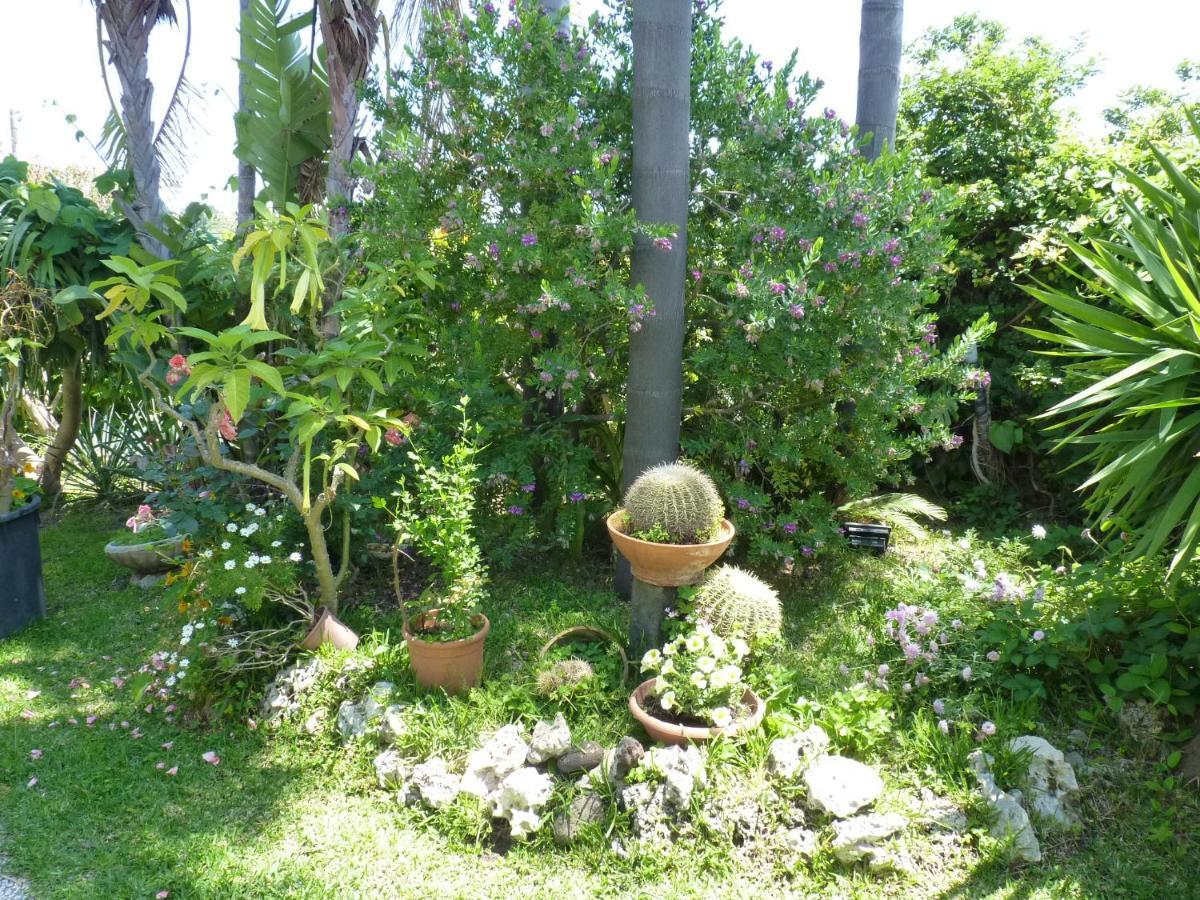 Holidaysora Taormina - Il Giardino Di Graziella Экстерьер фото